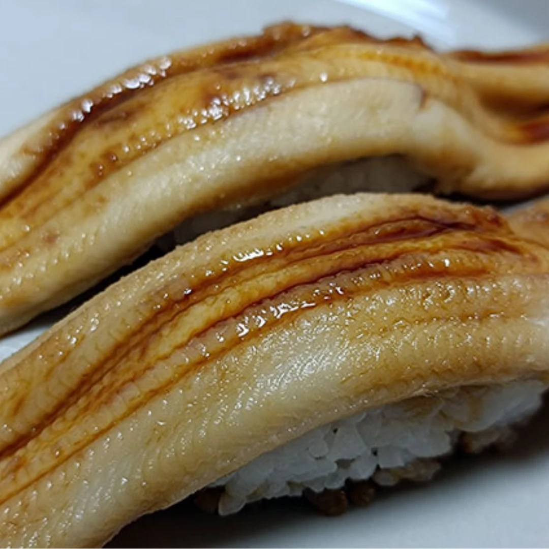 Wild Conger Eel (Anago) _ Fresh _ Japan.png
