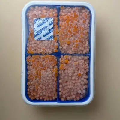IKURA - FROZEN SALTED CHUM SALMON CAVIAR - Oncorhynchus keta.png
