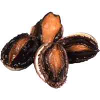 ABALONE 