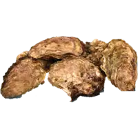 OYSTER, PACIFIC SM 120CT/CS LIVE CAN F EA - MACS