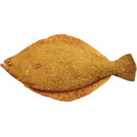 live+ikejime+.png