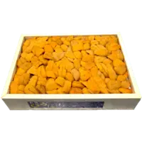 UNI, SEA URCHIN, BAFUN UNI MARUKO SP FR JPN  W TR