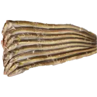 EEL, ANAGO CONGER EEL H/ON FLT 51-55cm 10*1(2KG)PK/CS FZ KOR W LB