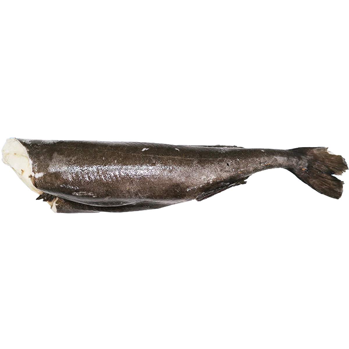 black+cod+sablefish+j+cut+.png