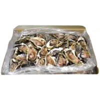 oyster+half+shell+.png
