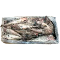 POLLOCK FLT 4-6 1(10LB)*4PK/CS CHN W LB