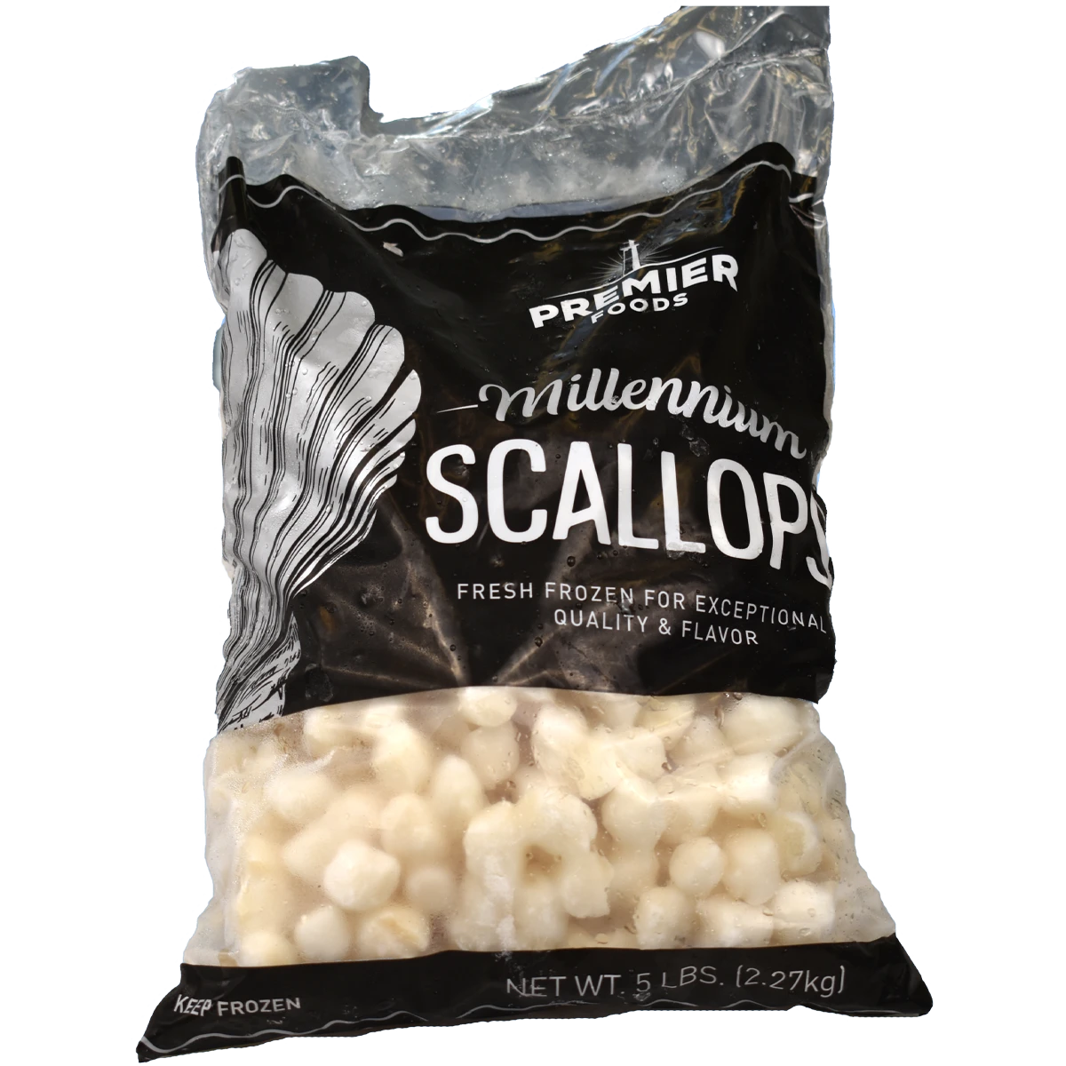 scallop+processed+IQF+.png