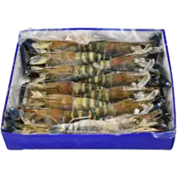 shrimp+fresh+water+head+on+shell+on+.png