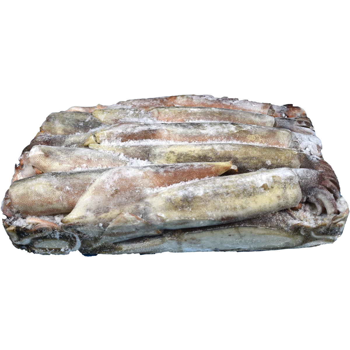 squid+jumbo+.png