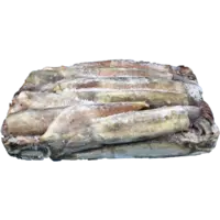 SWORDTIP SQUID, AKA IKA, JPN WILD LB