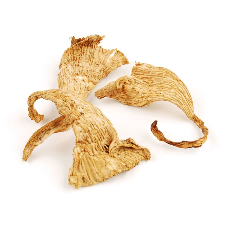 mushroom-chanterelle-dry-1lb-bag-woodland-foods_0.jpg