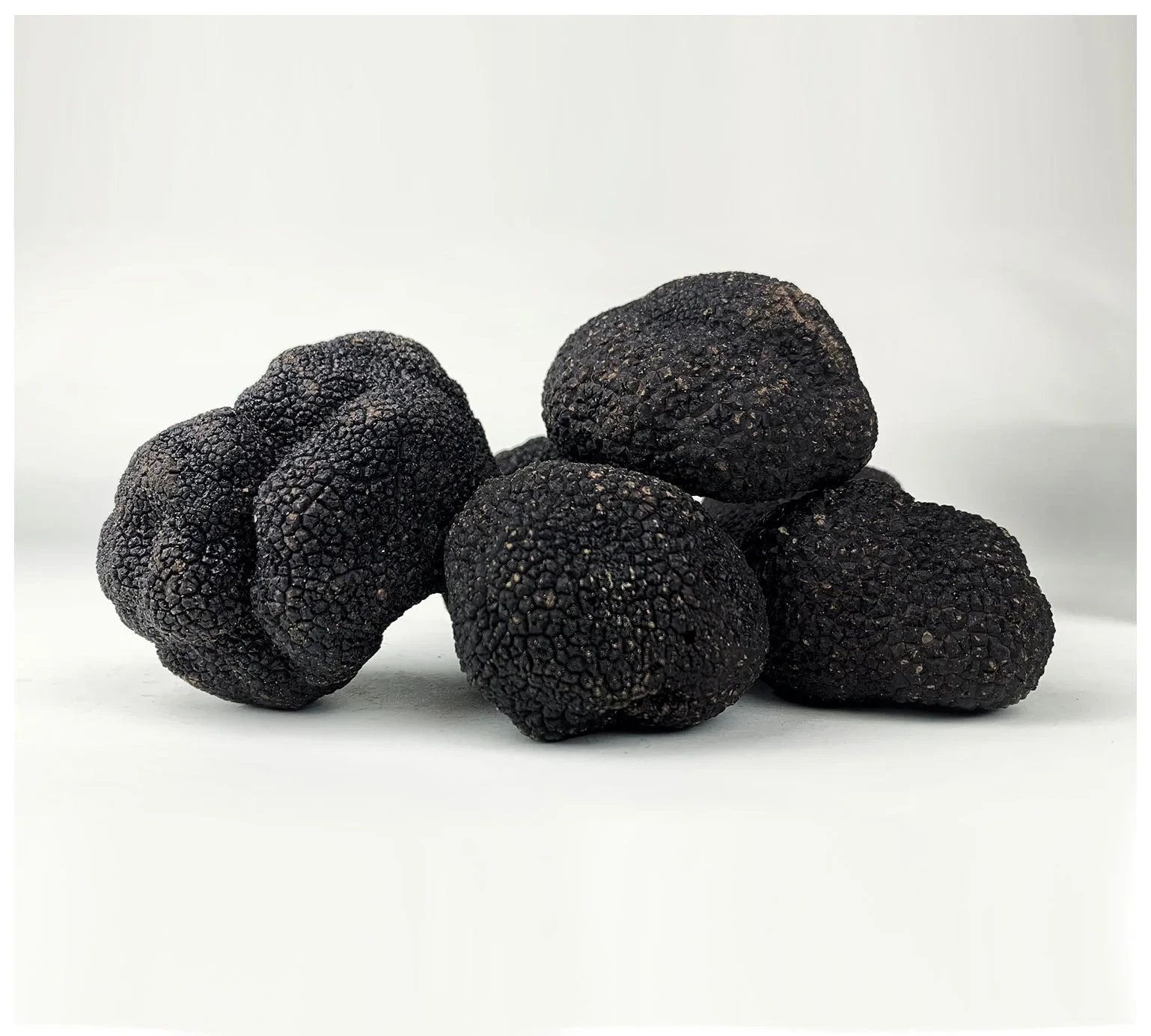 truffle-black-winter-fresh_0.webp