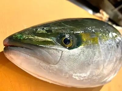 Hamachi  Whole