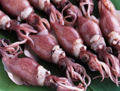 Frozen Hotaru Ika 500g (FRSH-RnJvem).