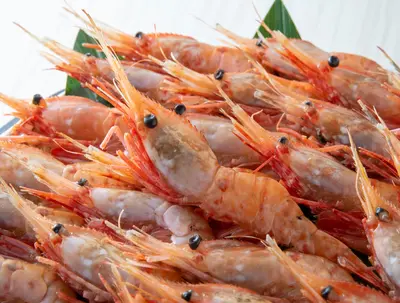 Frozen Botan Ebi (Spot Prawn) XL 21-24 PC (Hokkaido Uni Shop)