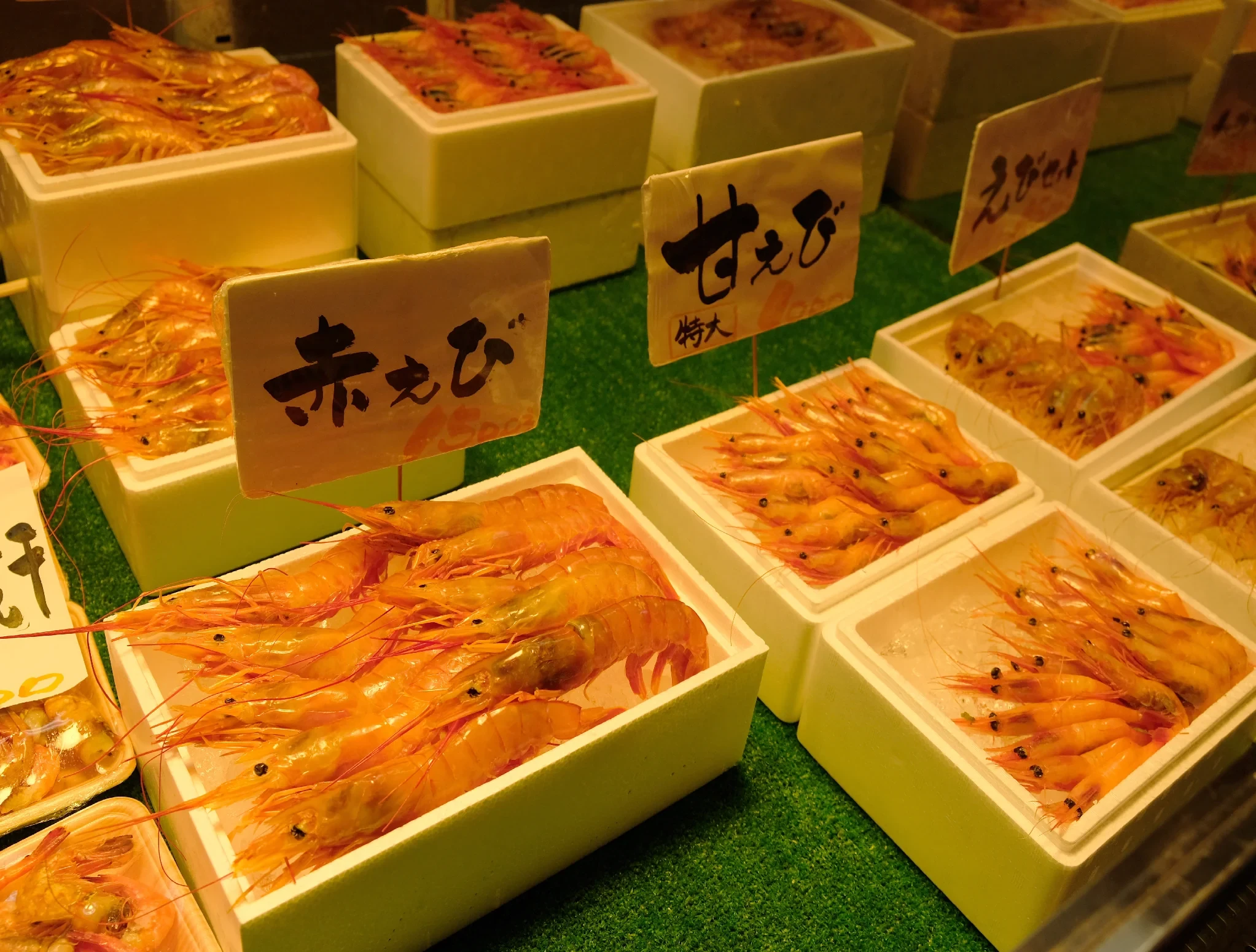 frozen-botan-ebi-spot-prawn-xl-21-24-pc_2.webp