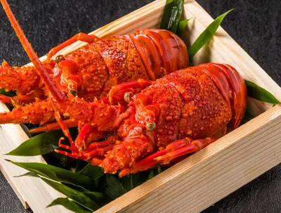 Frozen Ise Ebi (Japanese Lobster) - Hokkaido Uni Shop