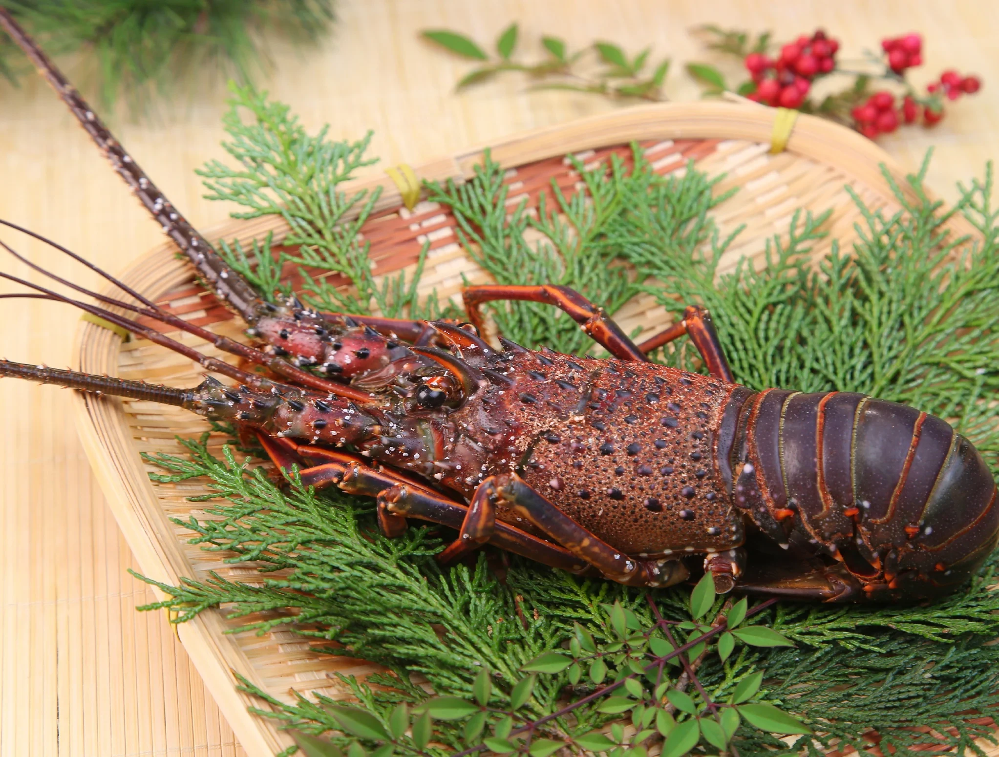 frozen-ise-ebi-japanese-lobster_1.webp