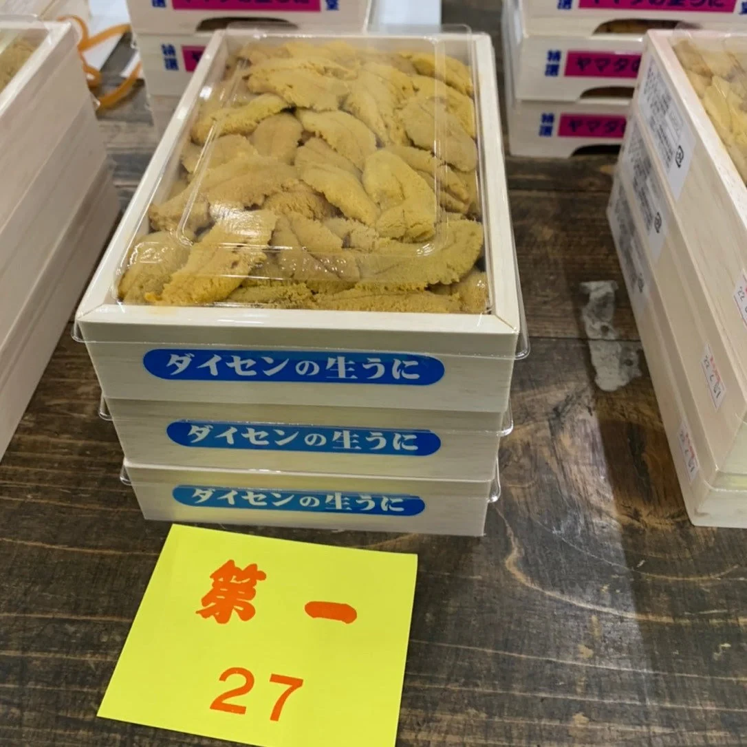 daisen-uni_1.webp