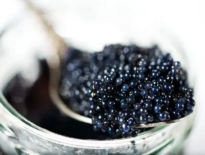 Beluga Caviar 3.5 OZ