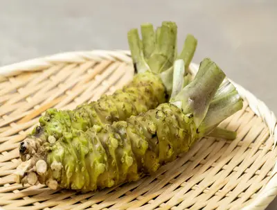 AAA Fresh Japanese Wasabi Roots - (Hon Wasabi) (Regular )
