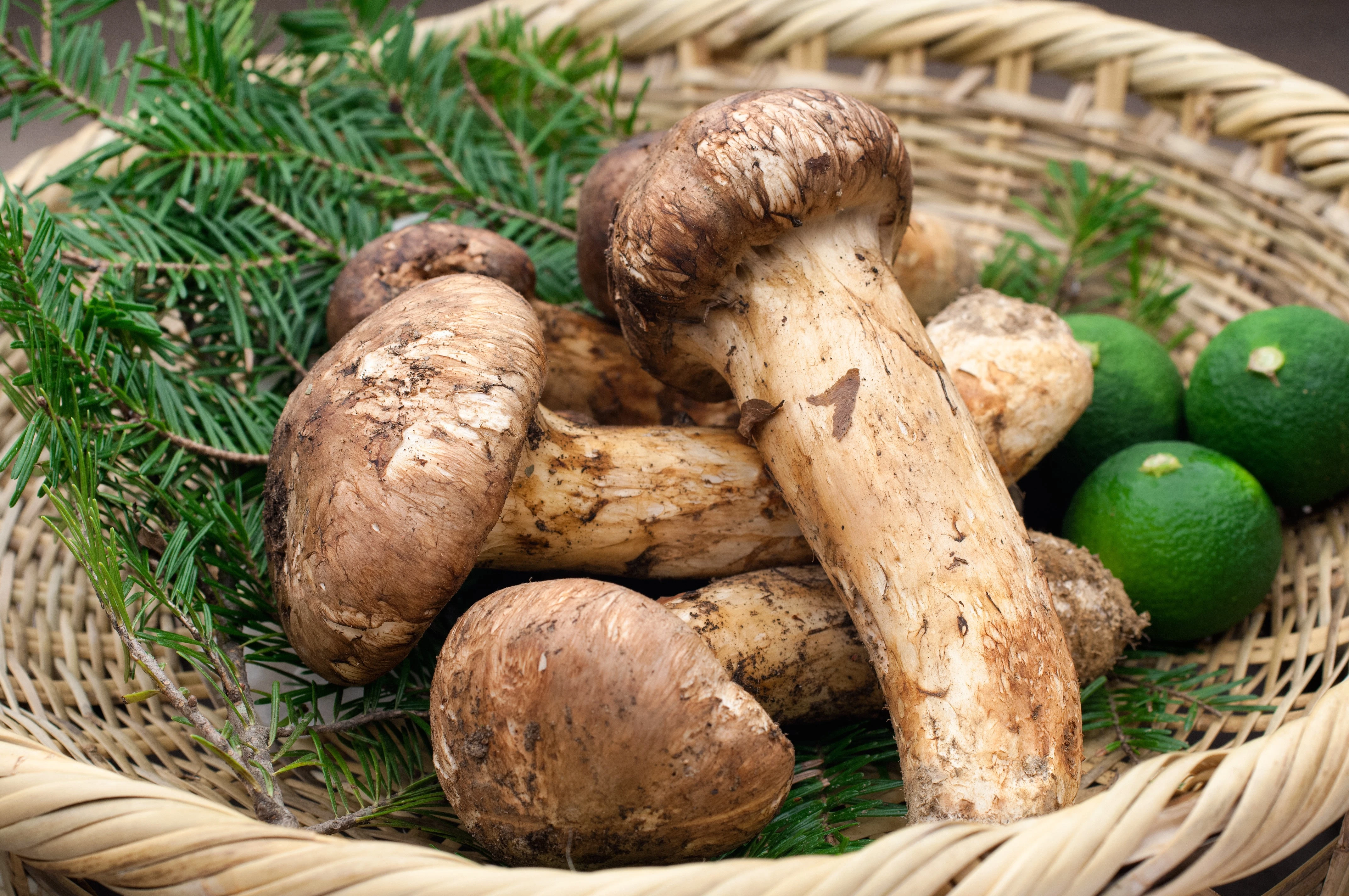 matsutake-a-200g-limited-availability_1.jpg