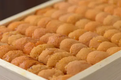 AA Hokkaido Uni 