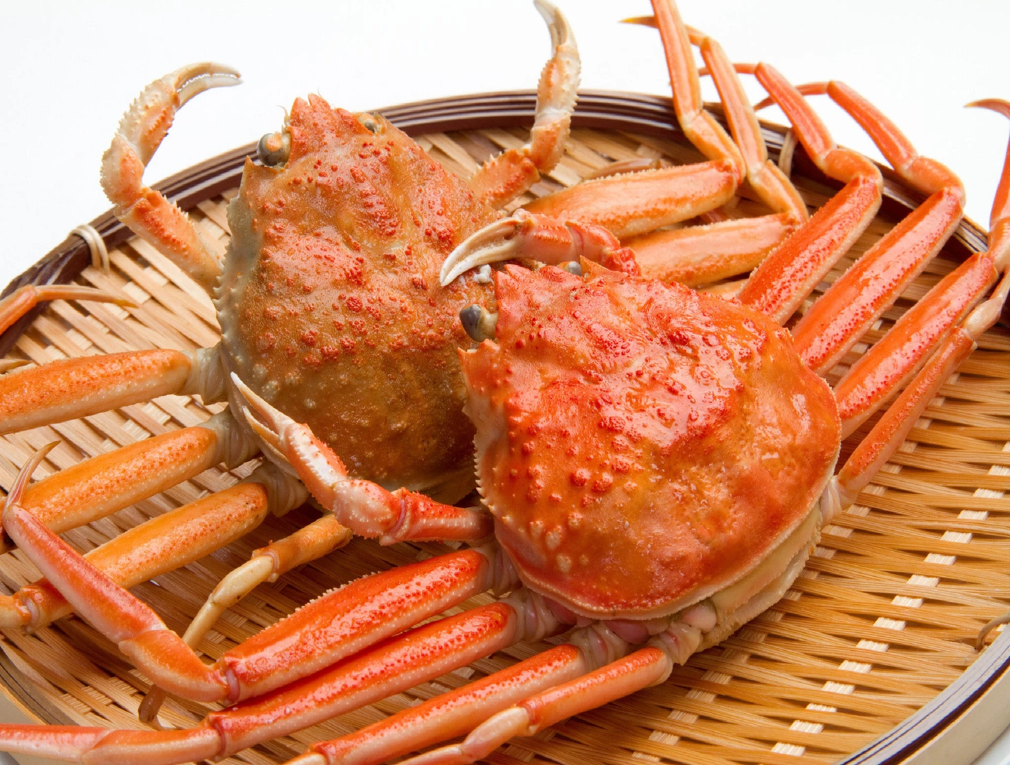 seiko-gani-snow-crab_0.jpg