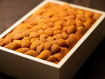 UNI100