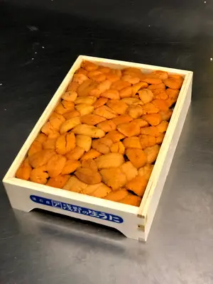 regular-japanese-uni-250g_2.jpg