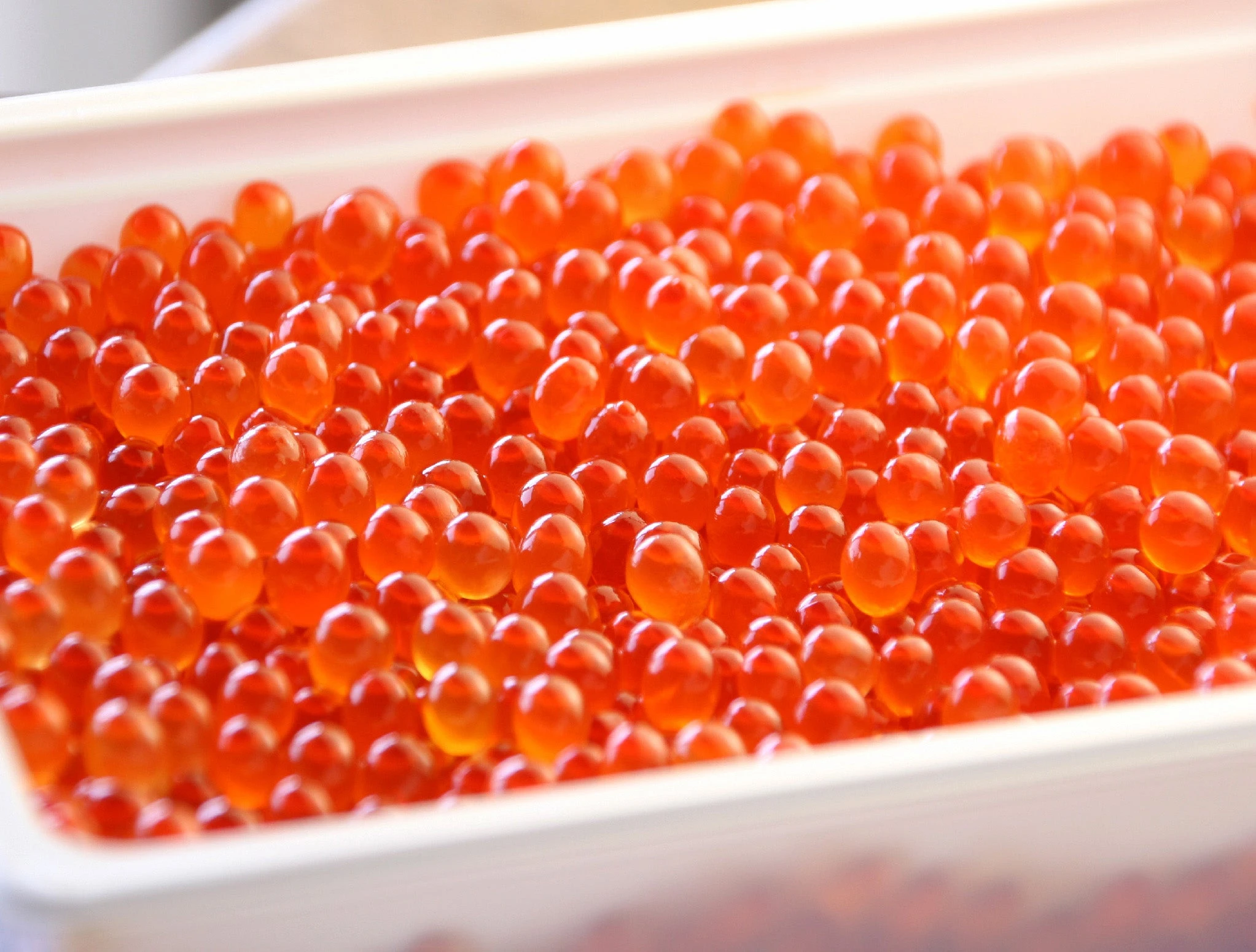 aaa-shoyu-ikura-500g_0.jpg