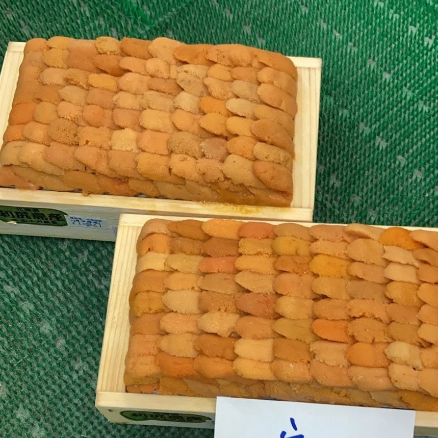 aaa-rishiri-large-uni-ogawa-300g-only-summer-time_1.webp