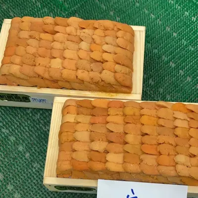aaa-rishiri-large-uni-ogawa-300g-only-summer-time_1.webp