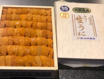 AAA Rishiri Uni 