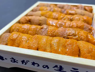 aaa-rishiri-uni-ogawa-150g-only-summer-time_2.webp