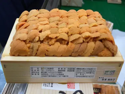 AAA 大箱 Large Hokkaido Uni 