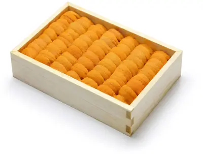 Hokkaido Uni 
