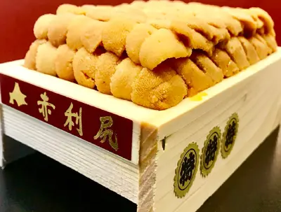 Large Hokkaido Uni 