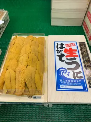 special-hadate-uni_1.webp