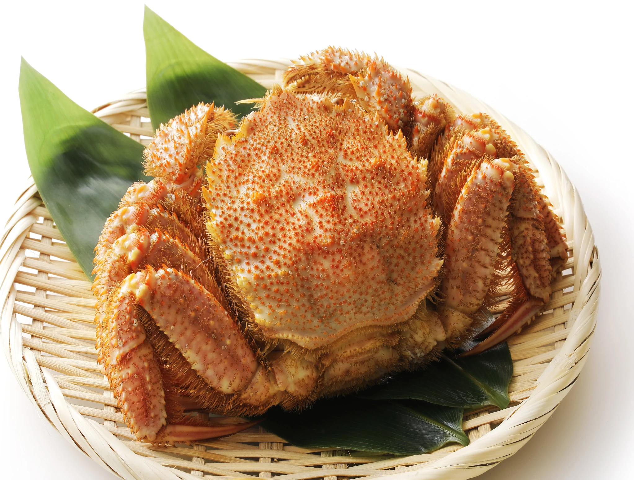 kegani-500g_0.jpg