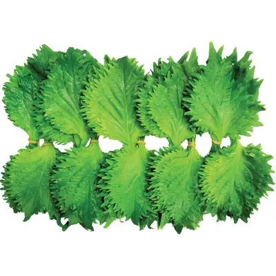 Oba 20pcs - Vegetable