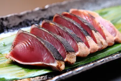 katsuo_0.jpeg