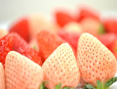 Hokkaido Strawberry Trio Colors 250g  (Hokkaido )