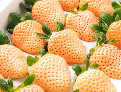 White Japanese Strawberry 