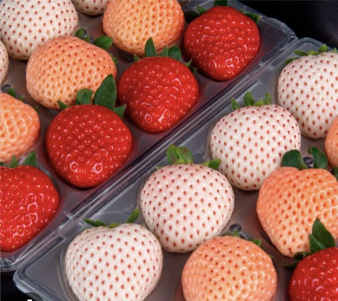 hokkaido-strawberry-trio-colors-250g_1.jpg
