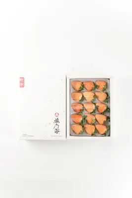 white-japanese-strawberry-awa-yuki-dan-xue-400g-gift-box_2.jpeg