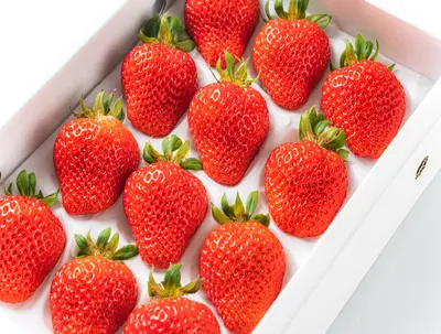 Japanese Strawberry 