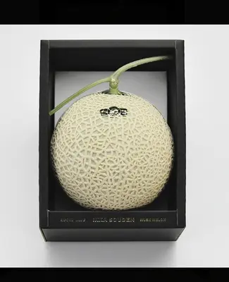 premium-grade-japanese-musk-melon-ryuma-long-ma-1-6kg-gift-box_1.jpg