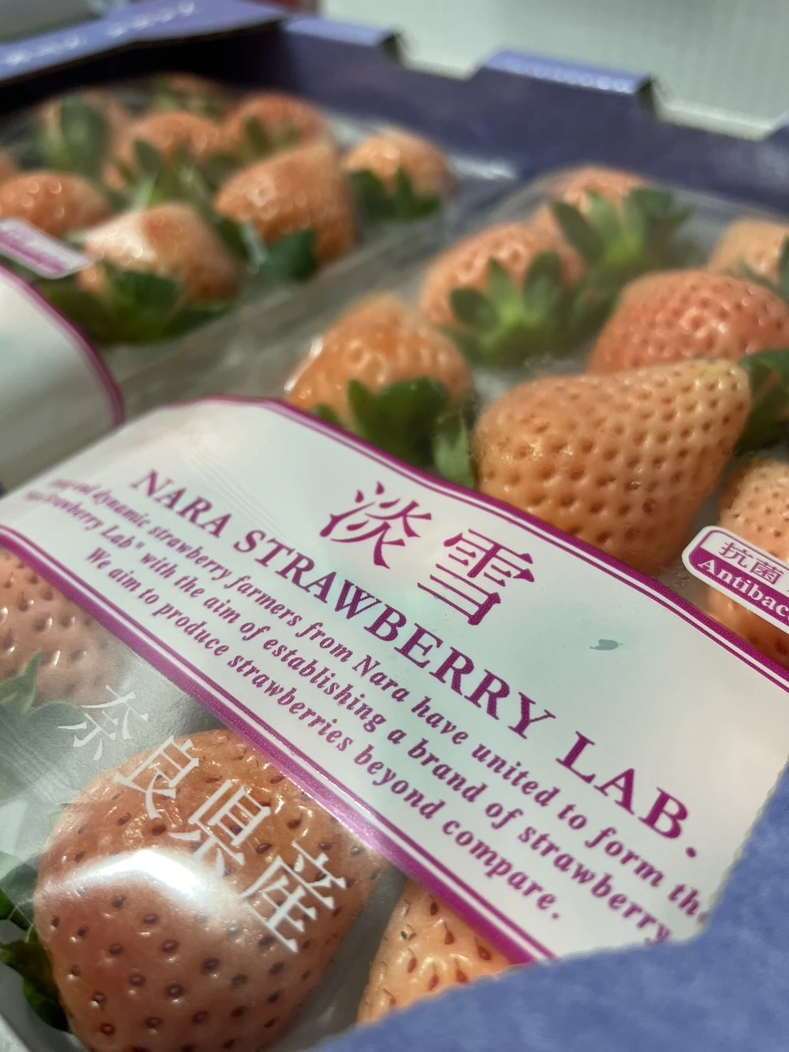 white-japanese-strawberry-awa-yuki-dan-xue-270g_0.jpg