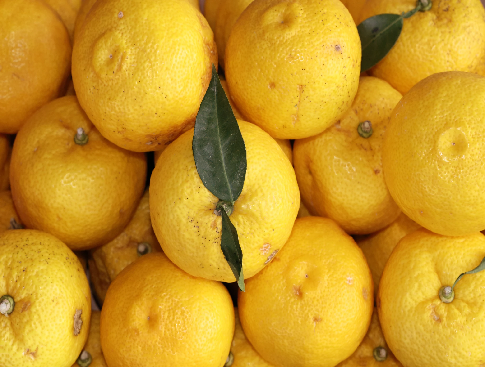hand-squeezed-yuzu_3.jpg